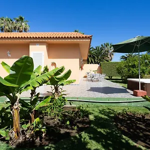 La Gaviota - Limoneros Icod De Los Vinos